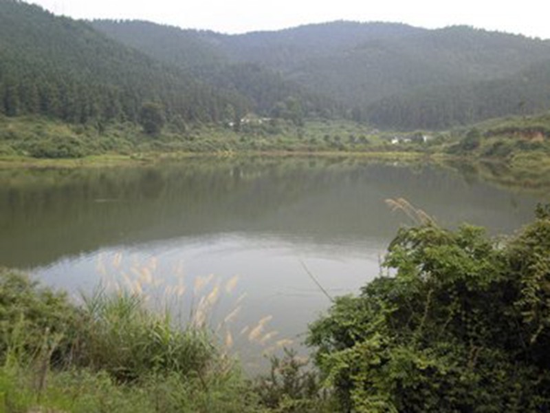 t014900e2e6d7b0e911.jpg/